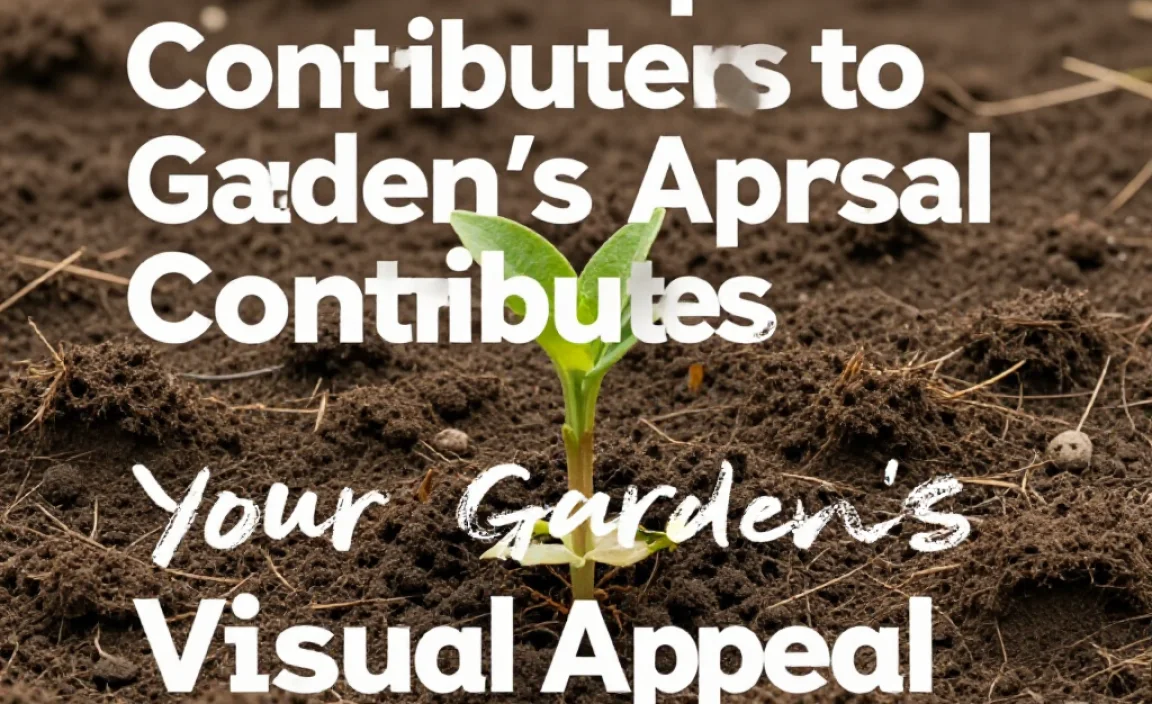 How Compost Contributes to Your Garden&rsquo;s Visual Appeal