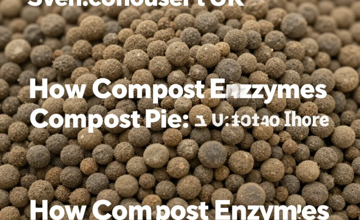 How Compost Enzymes Speed Up Your Compost Pile: A Visual Guide