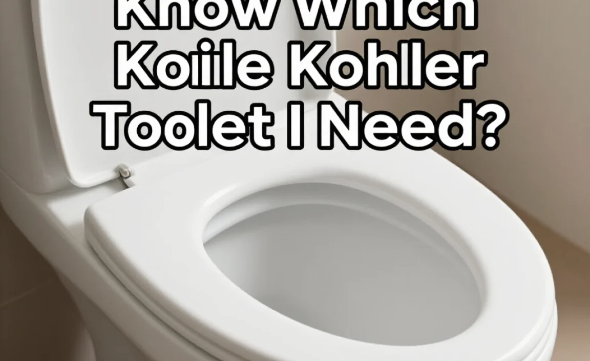 How Do I Know Which Kohler Toilet Seat I Need?