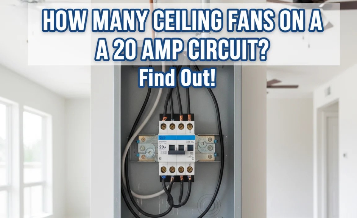 How Many Ceiling Fans On A 20 Amp Circuit? Find Out!