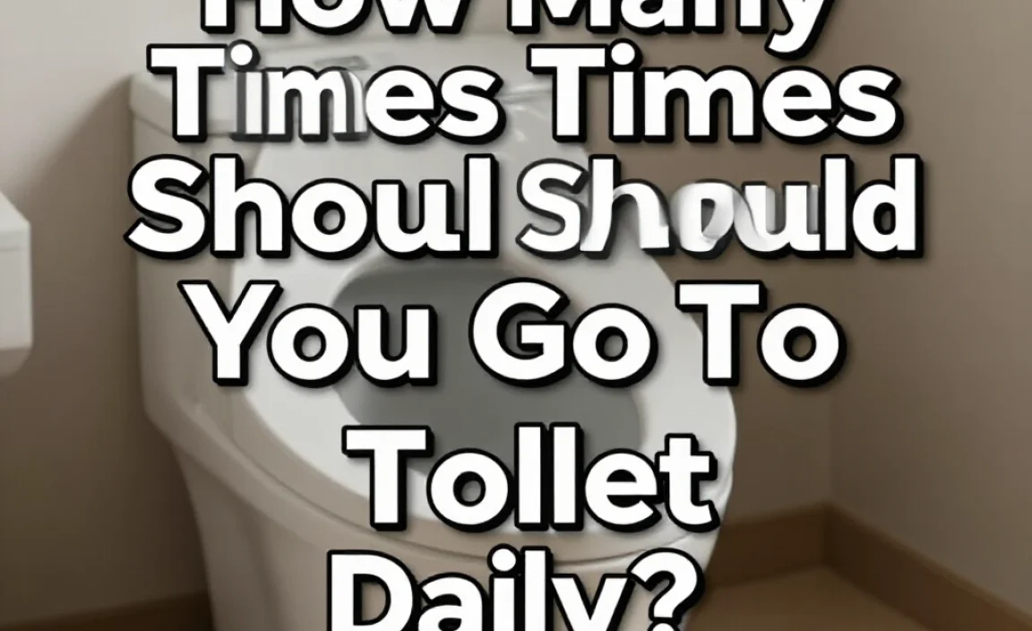 How Many Times Should You Go To The Toilet Daily?