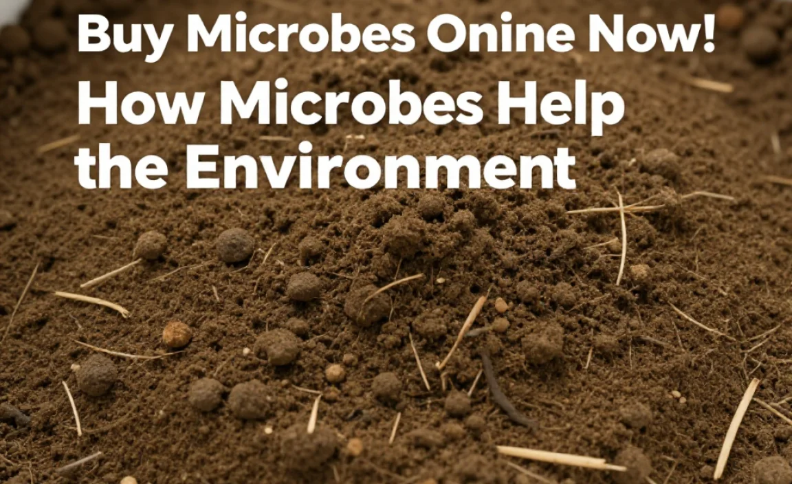 How Microbes Help the Environment
