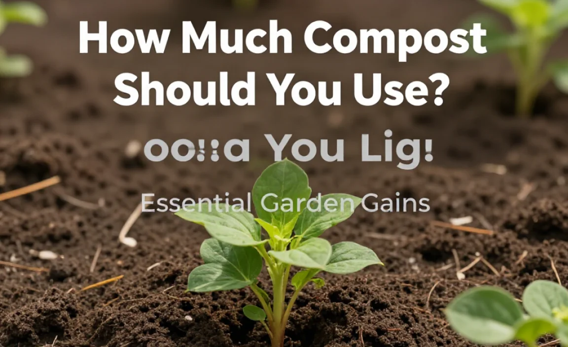 How Much Compost Should You Use?