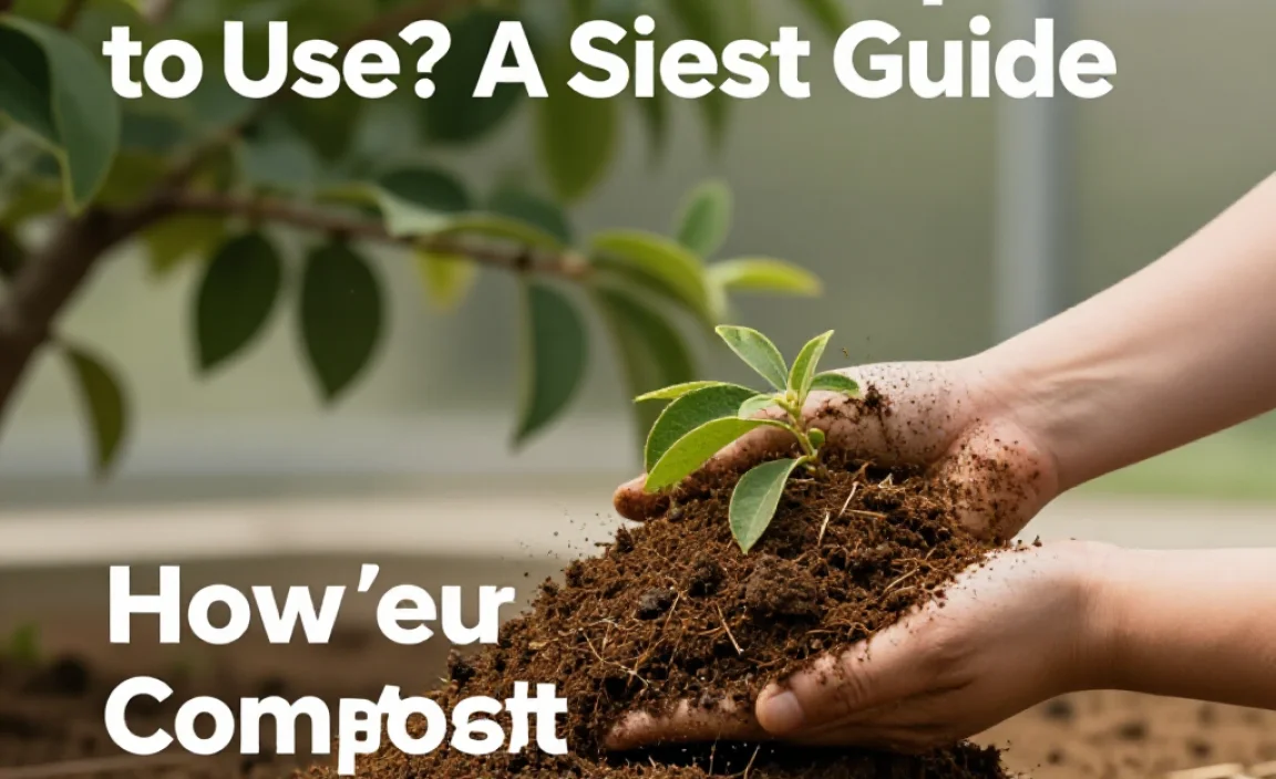 How Much Compost to Use? A Simple Guide