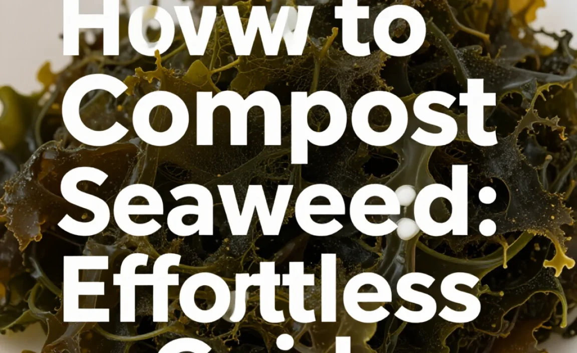 How to Compost Seaweed: Effortless Guide