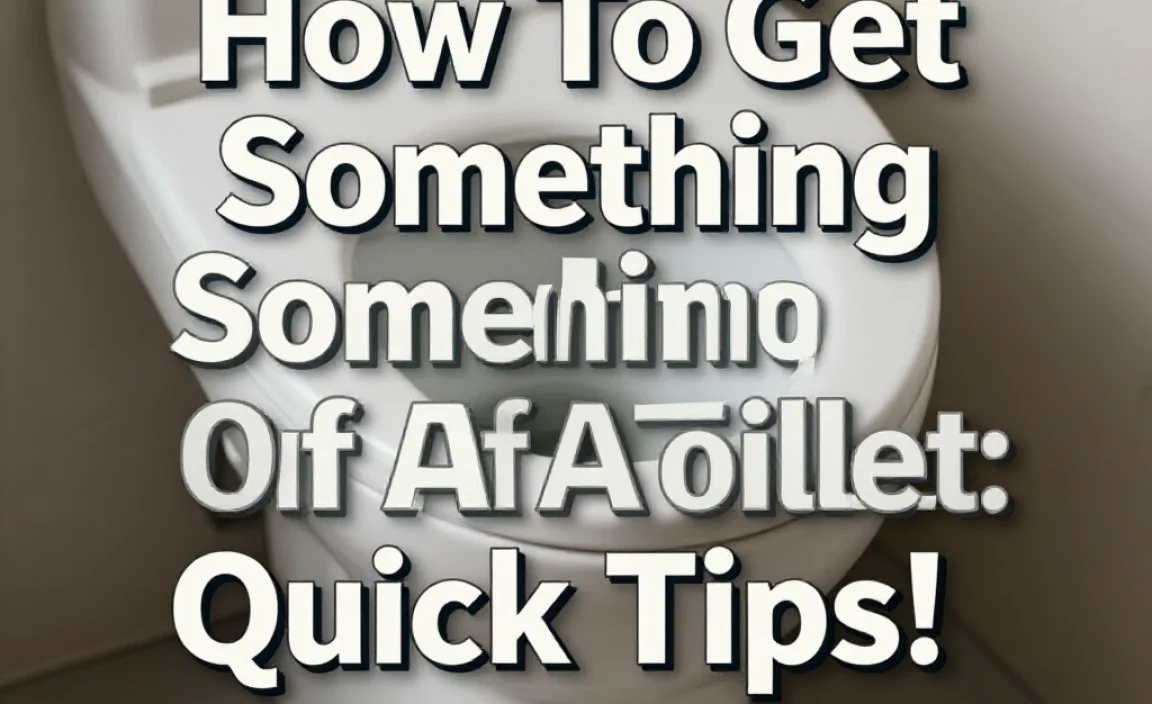 How To Get Something Out Of A Toilet: Quick Tips!