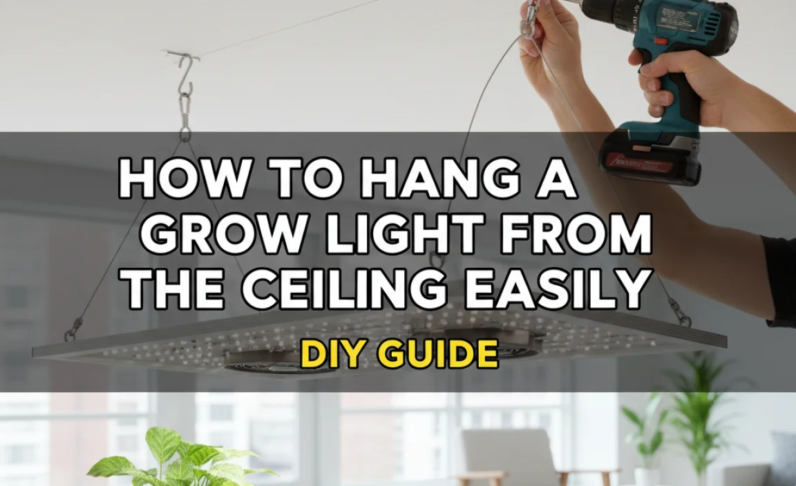 How To Hang A Grow Light From The Ceiling Easily