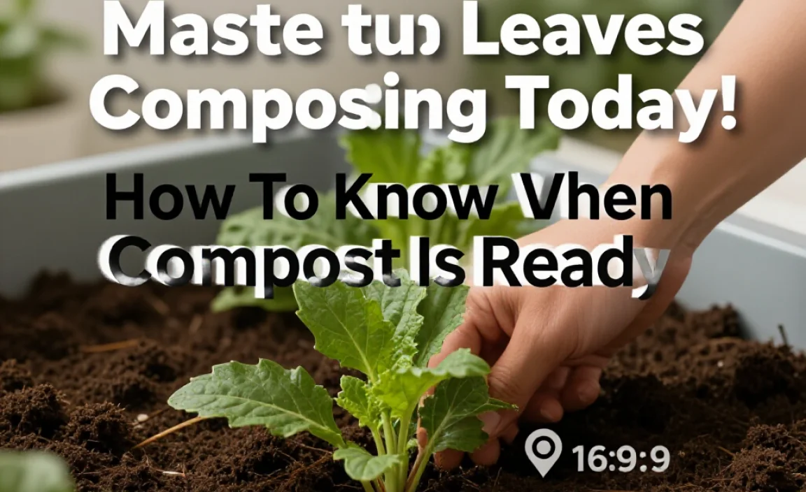 How To Know When Compost Is Ready