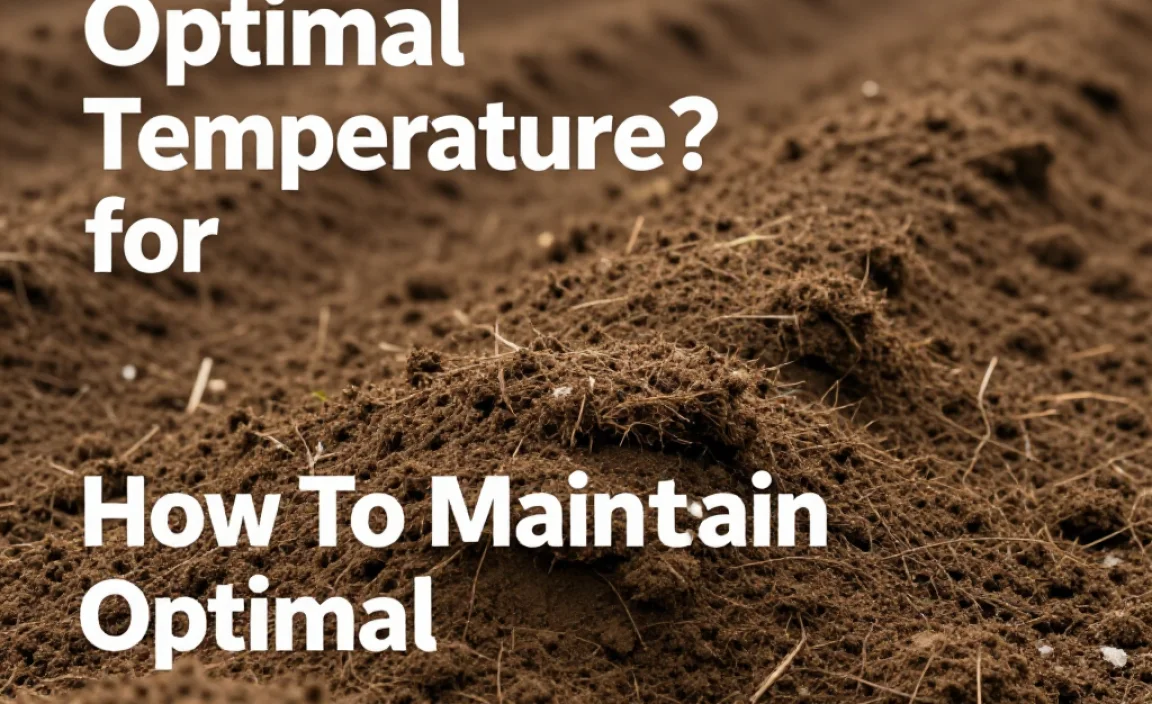 How To Maintain Optimal Temperature?
