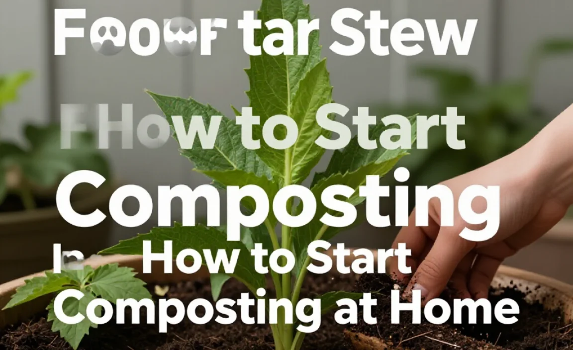 How to Start Composting at Home