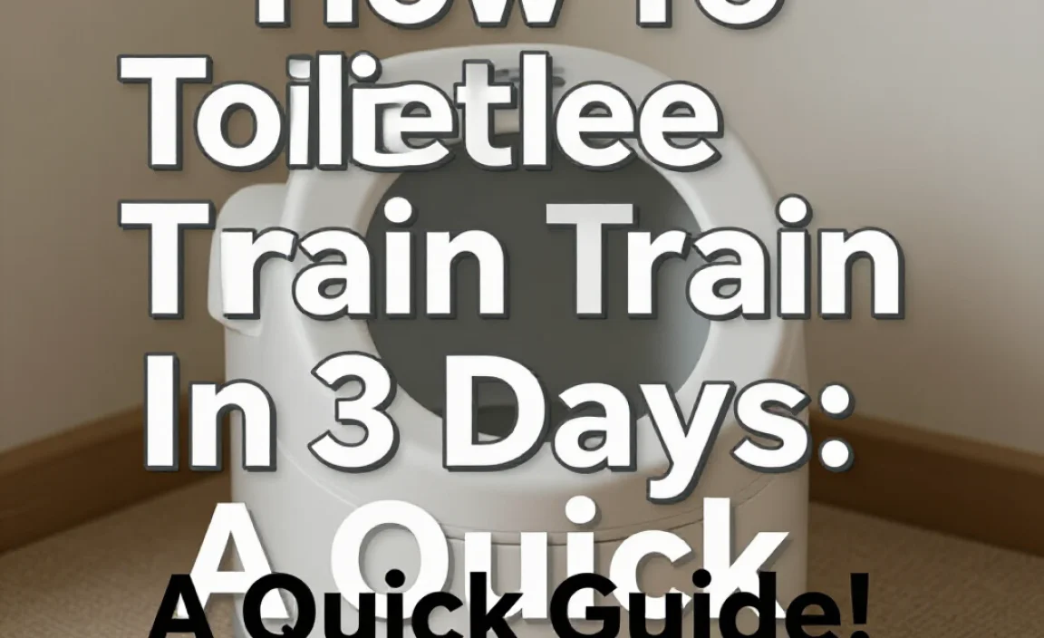 How To Toilet Train In 3 Days: A Quick Guide!