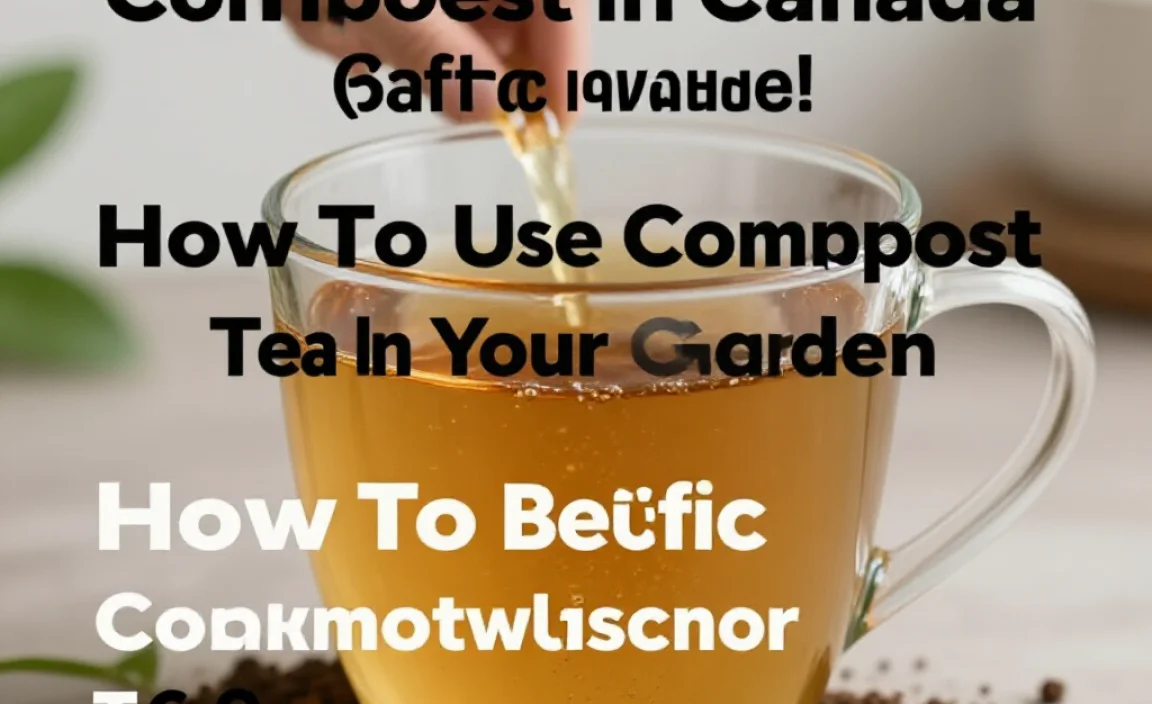 How To Use Compost Tea In Your Garden