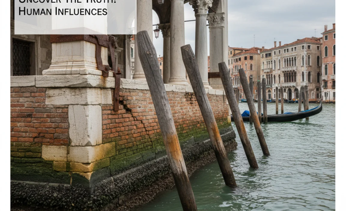 Human Influences on Venice&rsquo;s Sinking