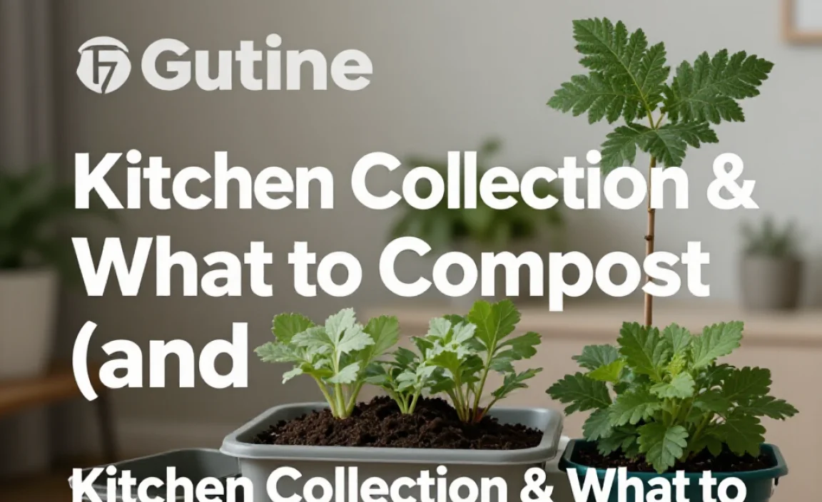 Kitchen Collection & What to Compost (and What Not To!)