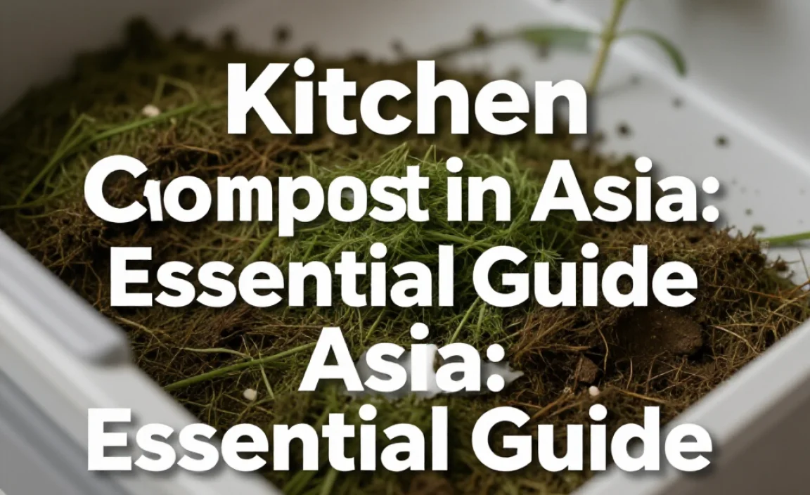 Kitchen Compost in Asia: Essential Guide