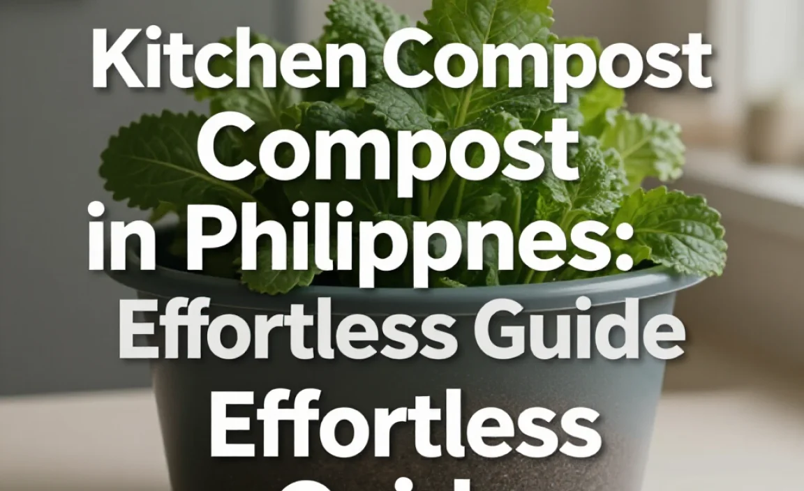 Kitchen Compost in Philippines: Effortless Guide