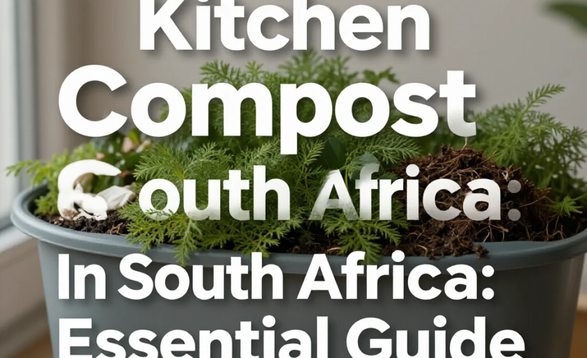Kitchen Compost In South Africa: Essential Guide