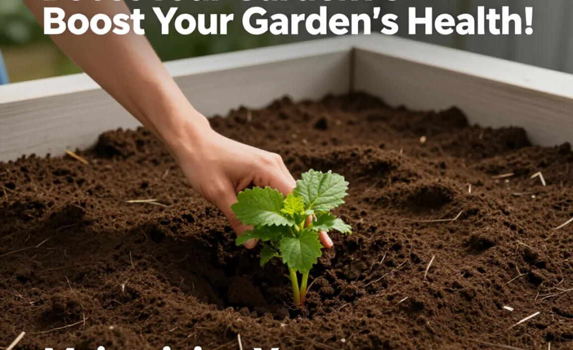 Maintaining Your Compost Heap