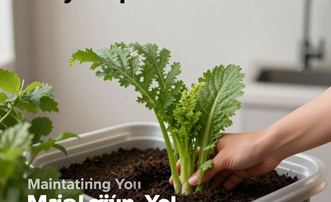 Maintaining Your Compost