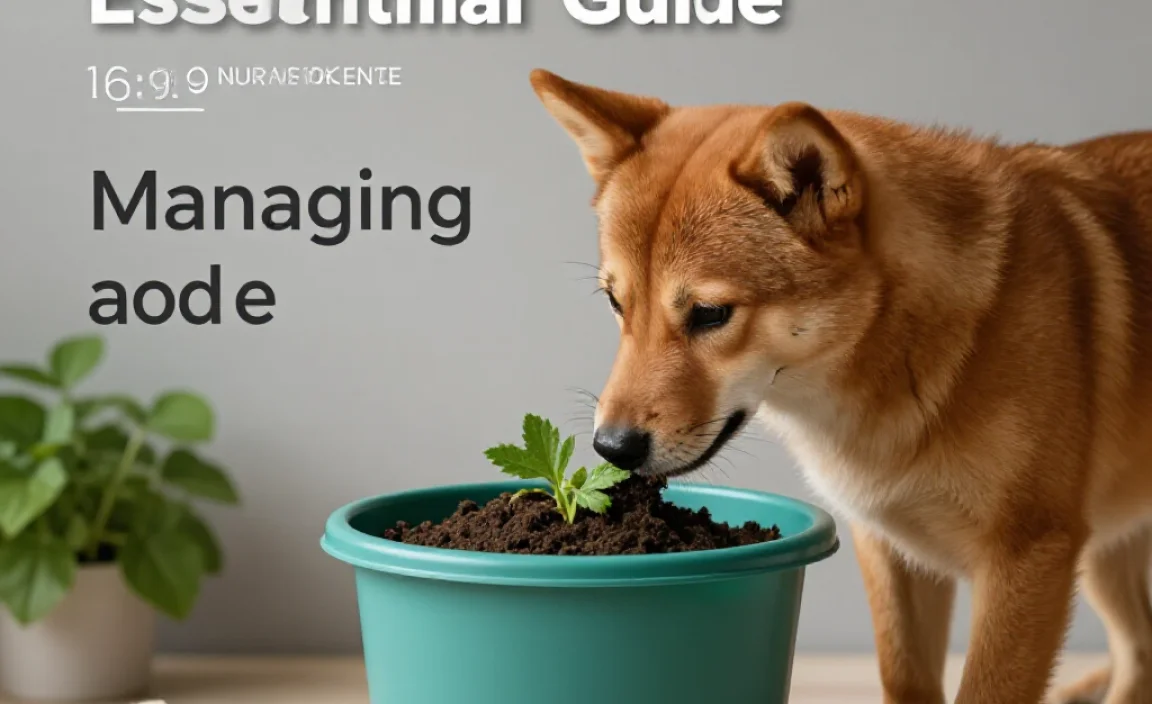 Managing Odors and Pests