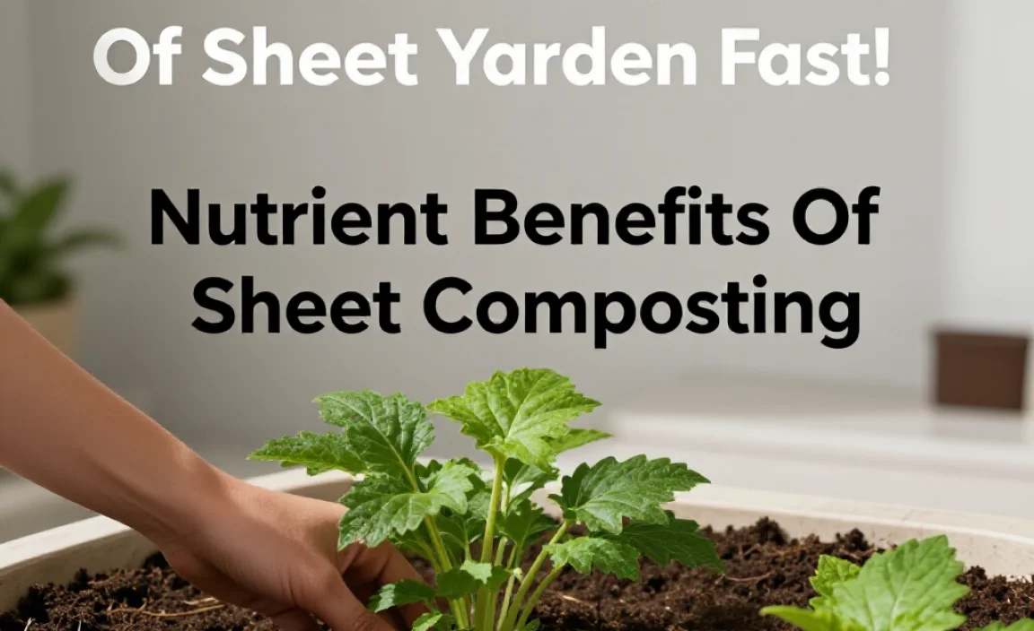 Nutrient Benefits Of Sheet Composting