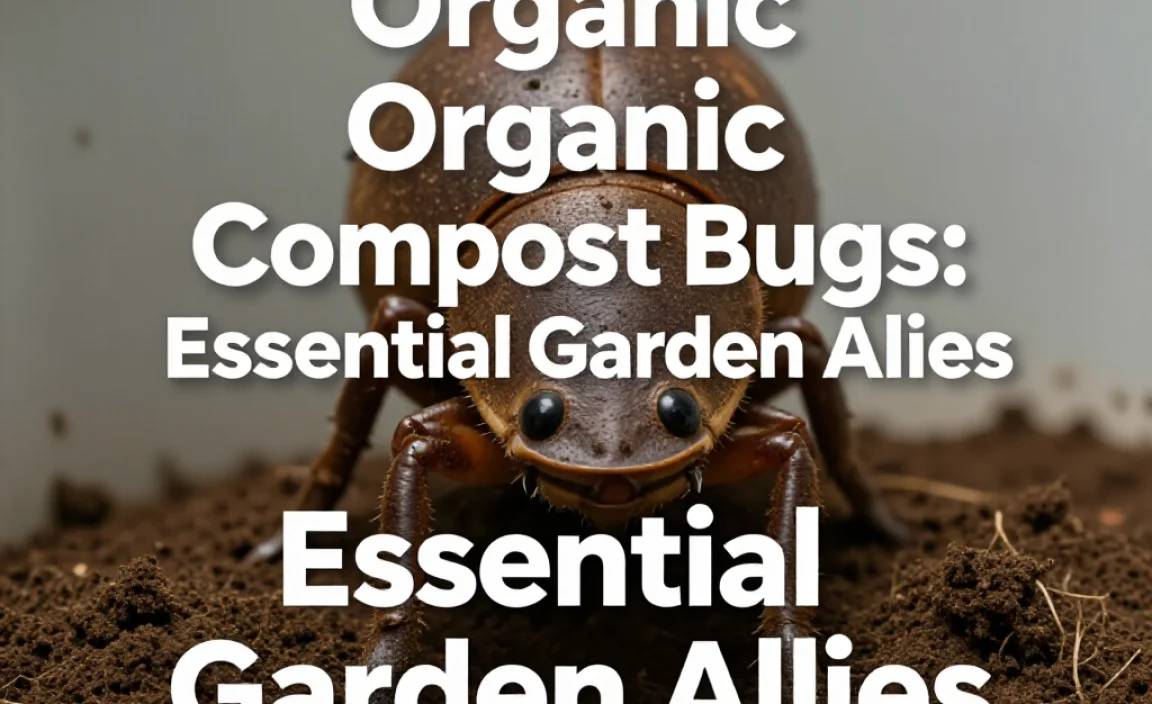 Organic Compost Bugs: Essential Garden Allies