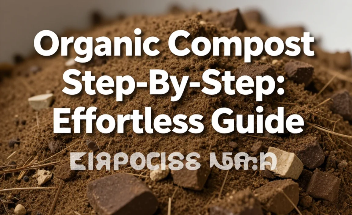 Organic Compost Step-by-Step: Effortless Guide