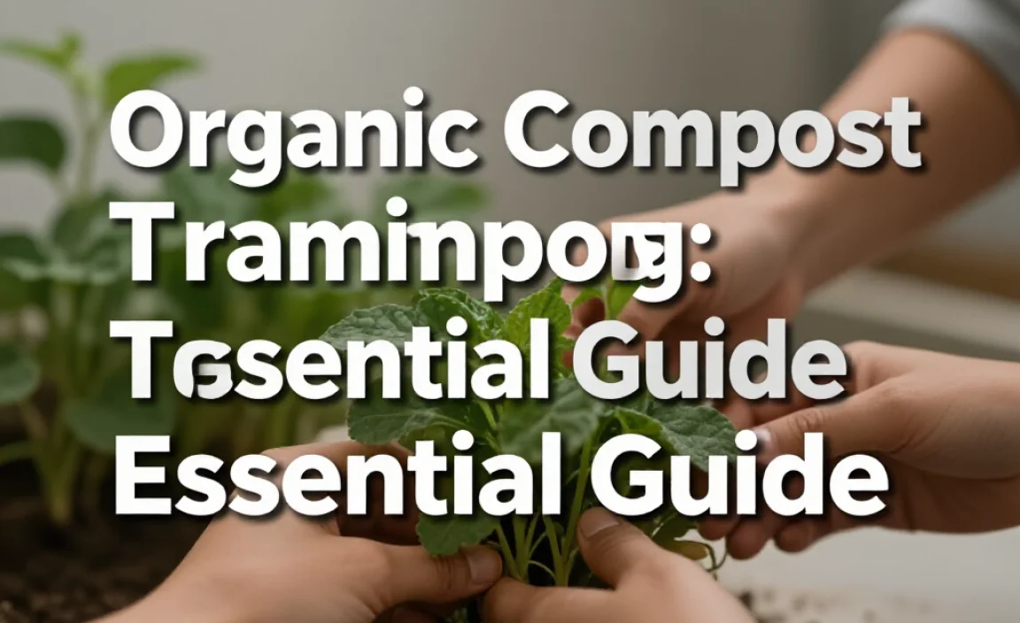 Organic Compost Training: Essential Guide