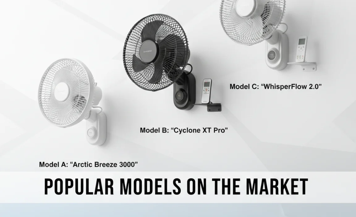 Popular Models on the Market