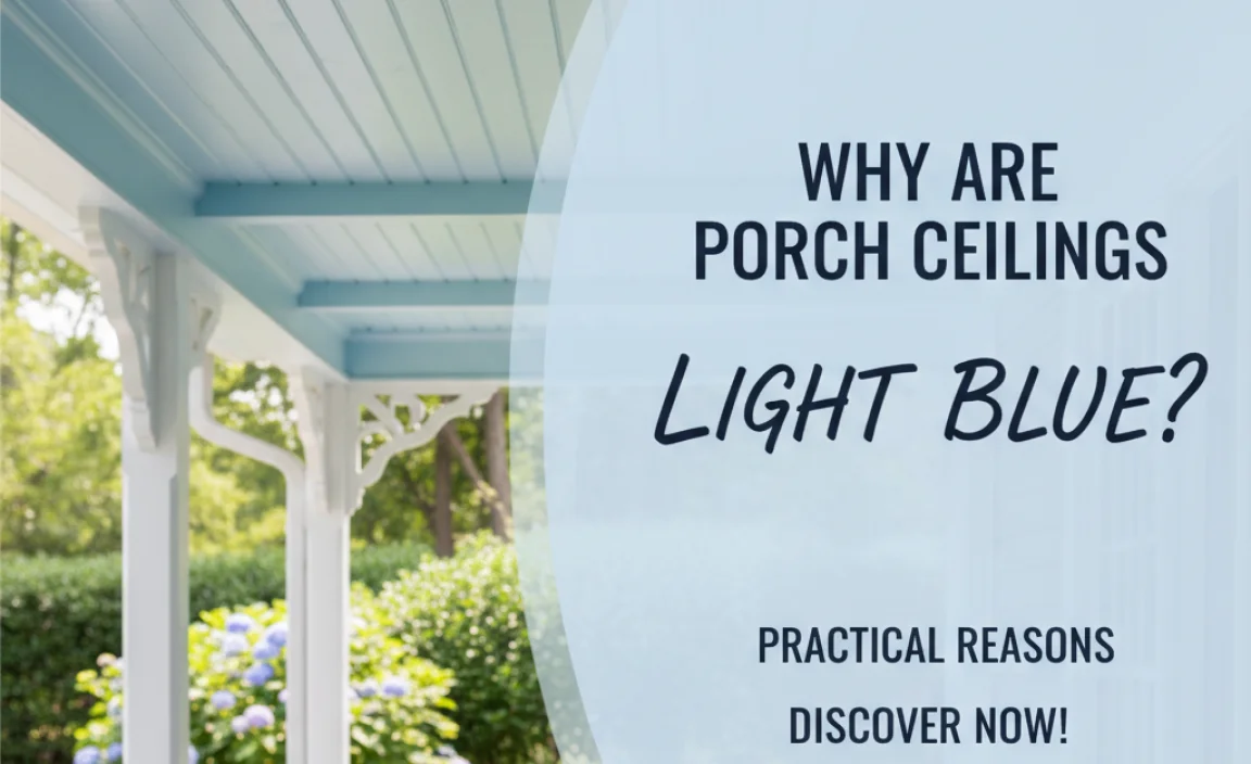 Practical Reasons for Light Blue Ceilings