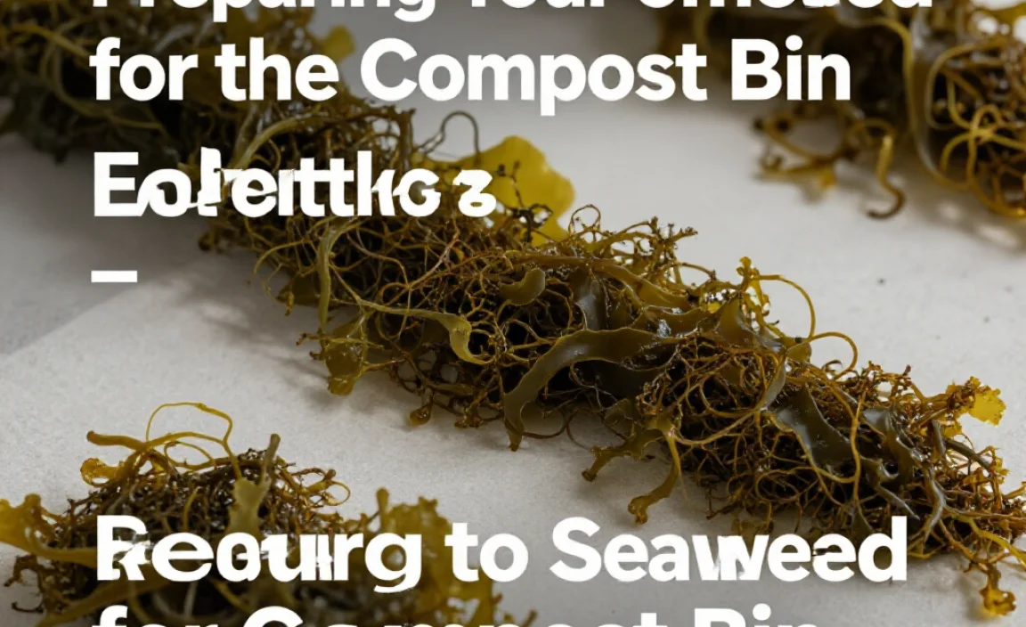 Preparing Your Seaweed for the Compost Bin