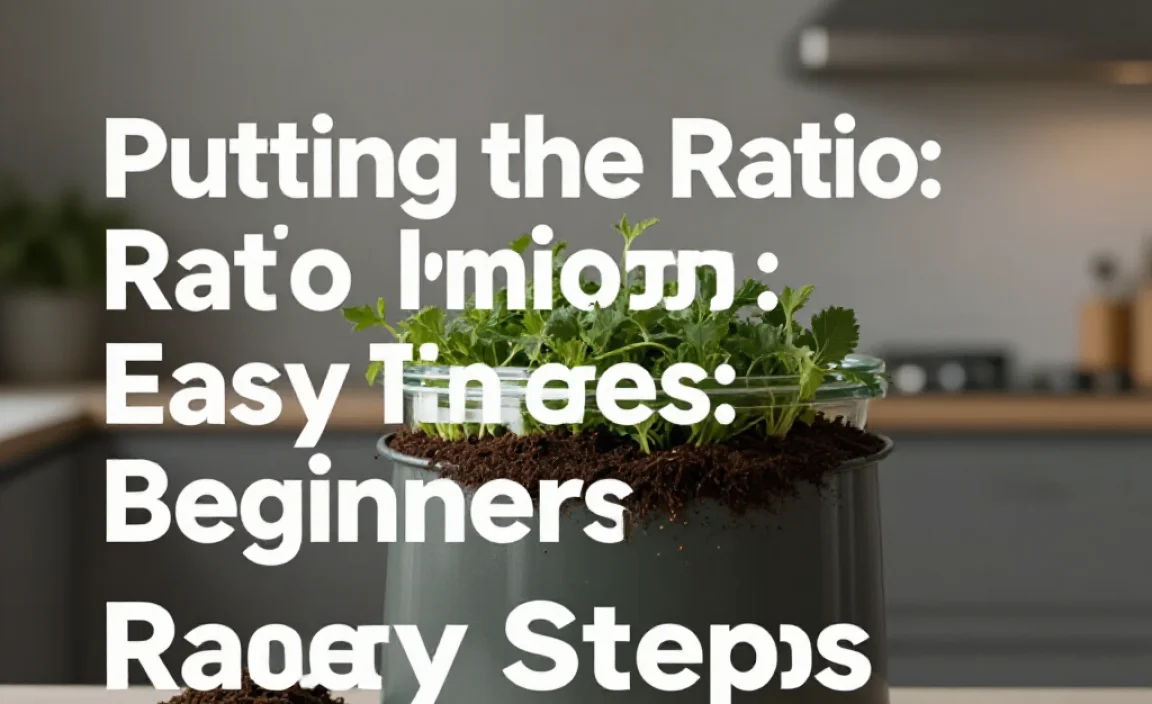 Putting the Ratio into Practice: Easy Steps for Beginners