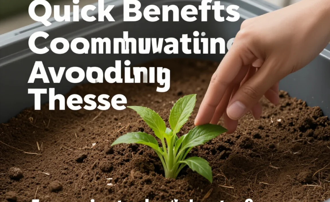 Quick Benefits of Avoiding These Mistakes