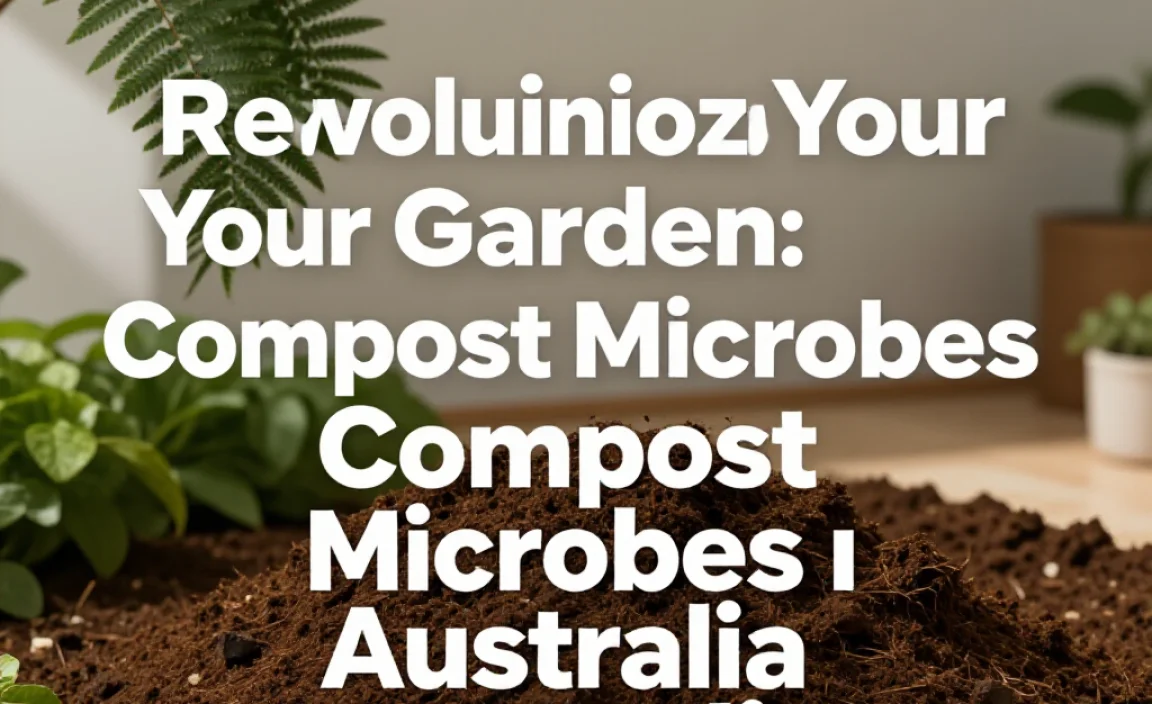 Revolutionize Your Garden: Compost Microbes in Australia