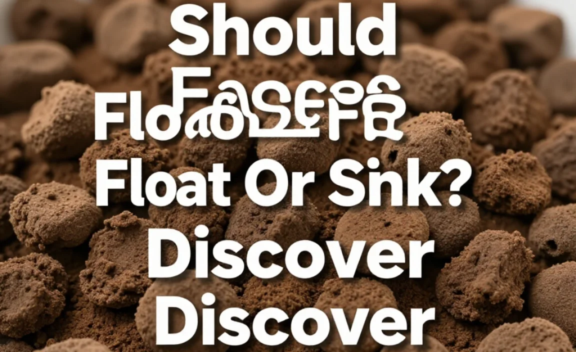 Should Faeces Float Or Sink? Discover The Truth!