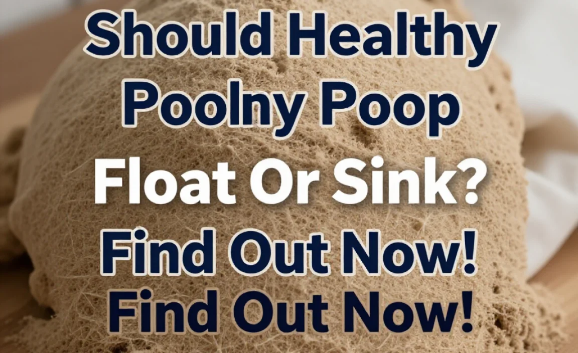 Should Healthy Poop Float Or Sink? Find Out Now!