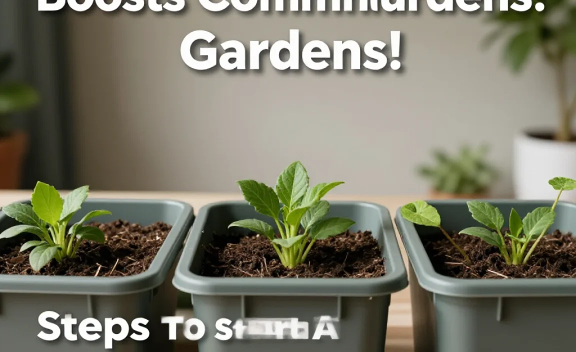 Steps To Start A Community Compost Pile