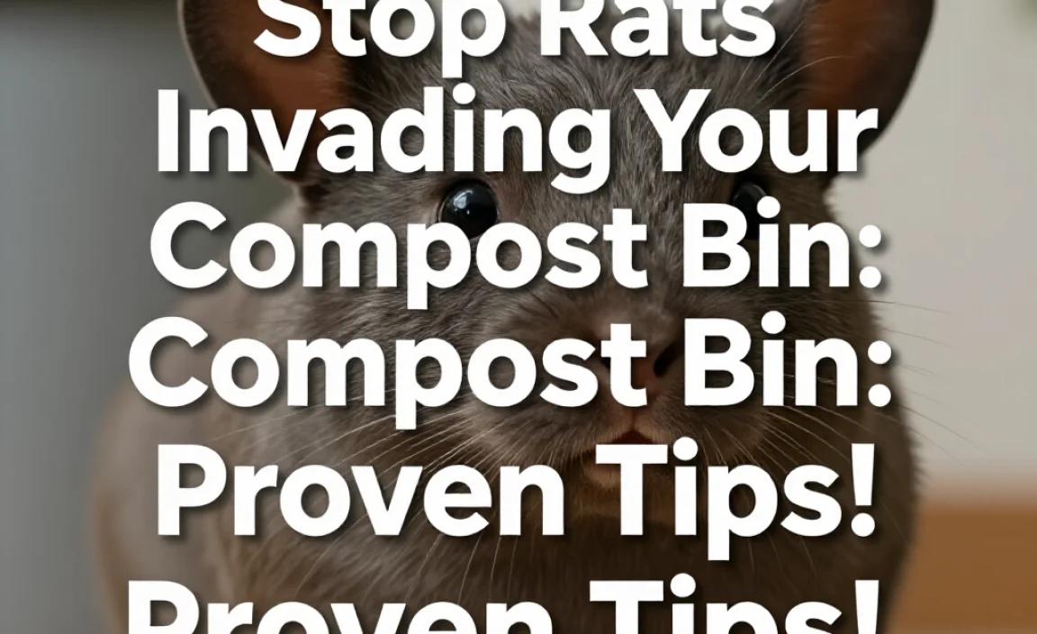 Stop Rats Invading Your Compost Bin: Proven Tips!