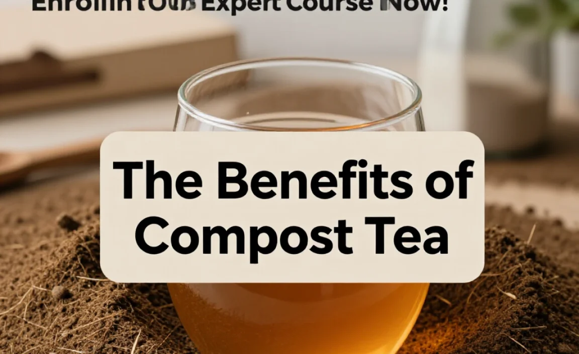 The Benefits of Compost Tea