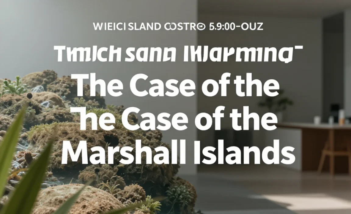 The Case of the Marshall Islands