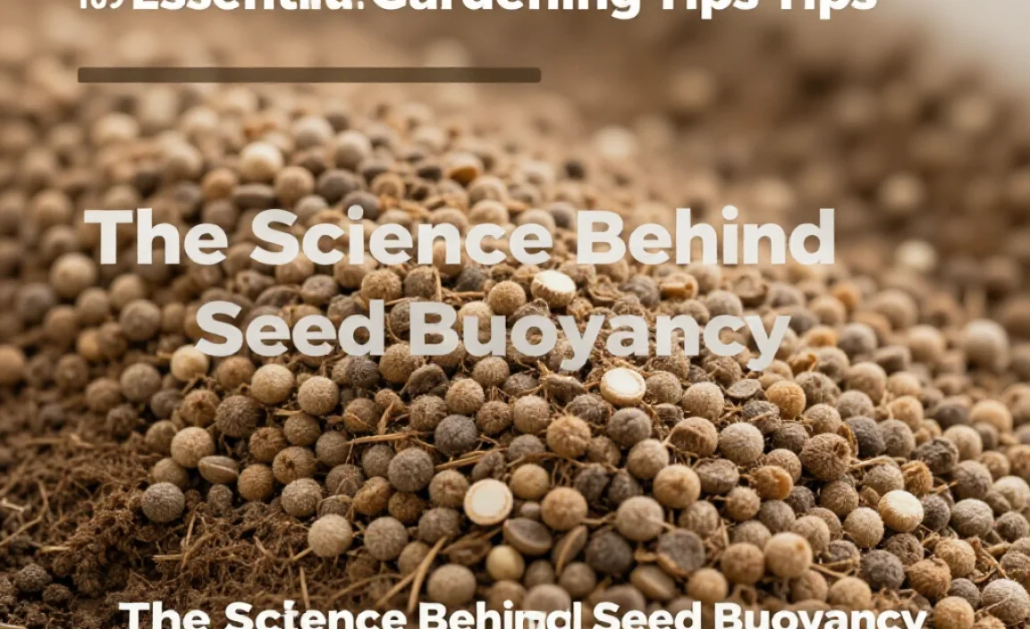 The Science Behind Seed Buoyancy