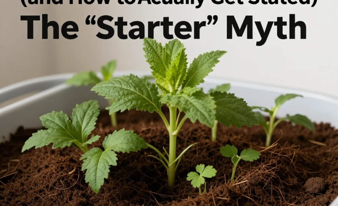 The &ldquo;Starter&rdquo; Myth (and How to Actually Get Started)