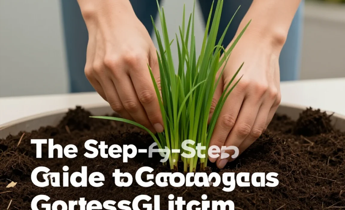 The Step-by-Step Guide to Composting Grass Clippings