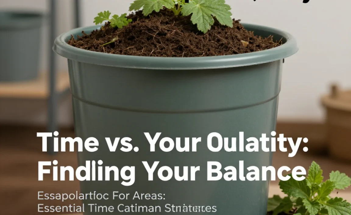 Time vs. Compost Quality: Finding Your Balance