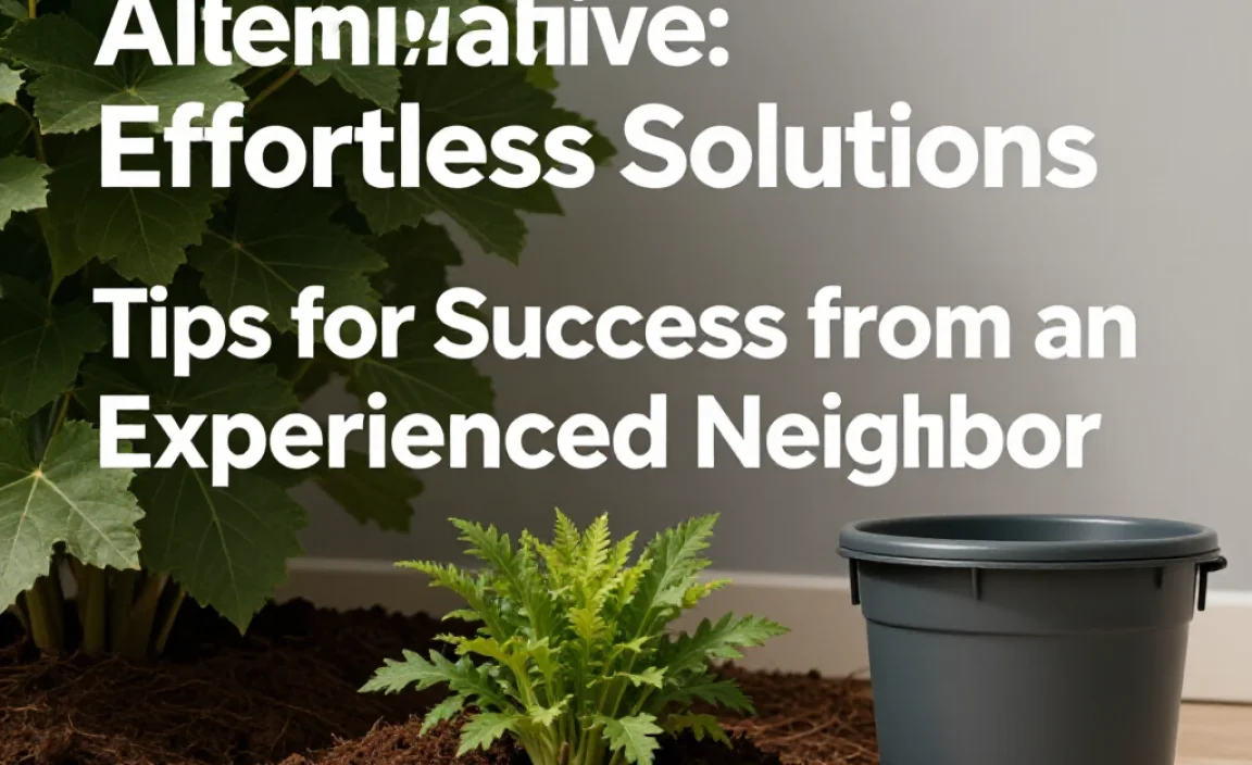 Tips for Success from an Experienced Neighbor