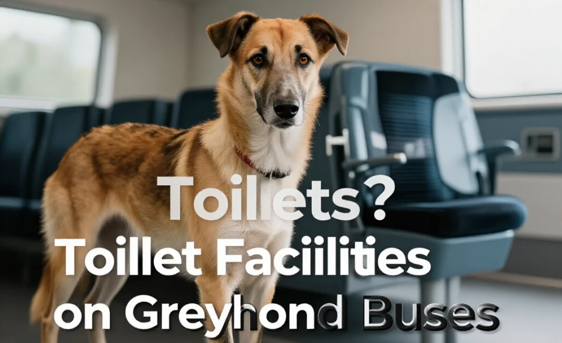 Toilet Facilities on Greyhound Buses