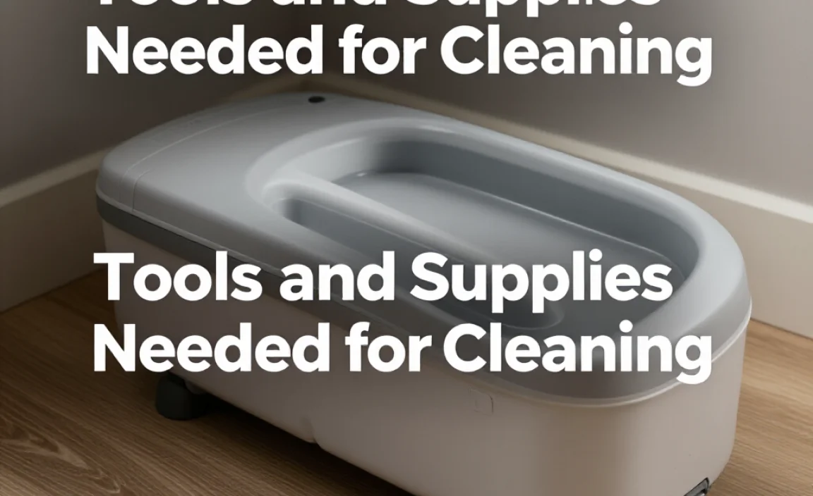 Tools and Supplies Needed for Cleaning