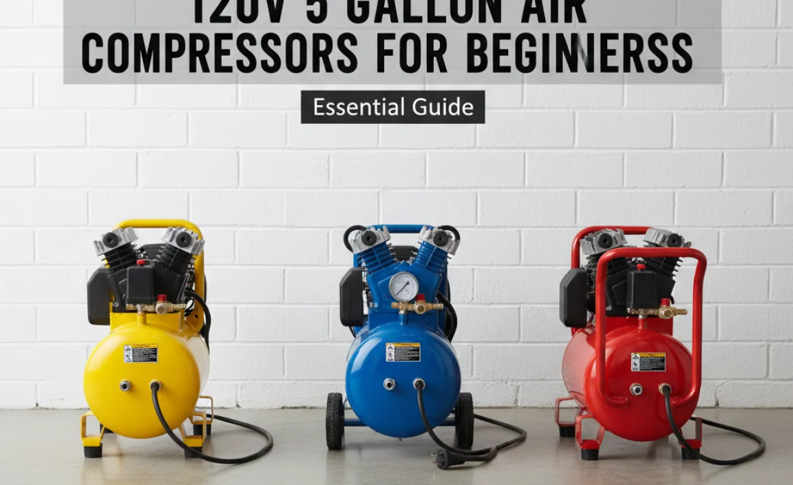 Top 3 Popular 120V 5 Gallon Air Compressors for Beginners