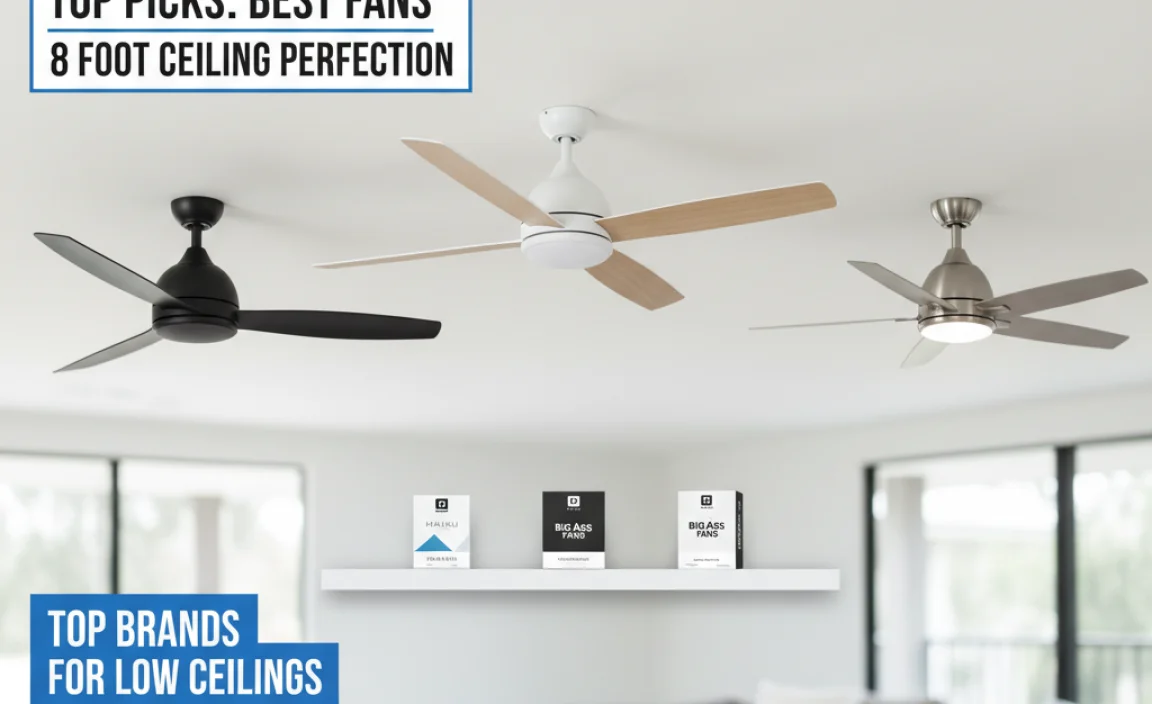 Top Brands Offering Fans for Low Ceilings