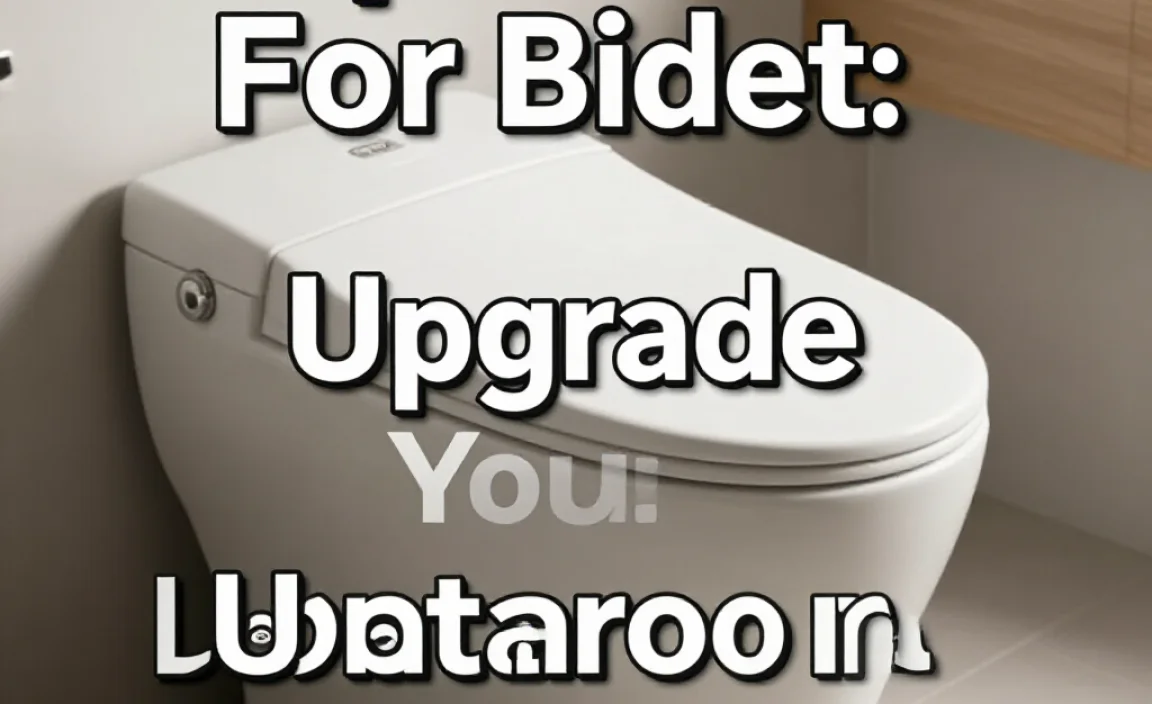Top T Valve For Bidet: Upgrade Your Bathroom Today!